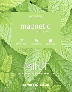 Magnetic Notes S Mint - Entspannte Notizen für ruhige Ideen (7cmx5cm)