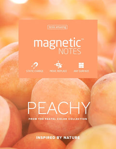 Magnetic Notes S Peachy - Herzliche Notizzettel für warme Gedanken (7cmx5cm)